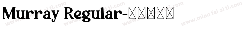 Murray Regular字体转换